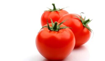 Как выбрать сорт томатов